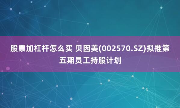 股票加杠杆怎么买 贝因美(002570.SZ)拟推第五期员工持股计划