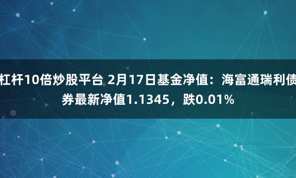 杠杆10倍炒股平台 2月17日基金净值：海富通瑞利债券最新净值1.1345，跌0.01%