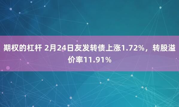 期权的杠杆 2月24日友发转债上涨1.72%，转股溢价率11.91%