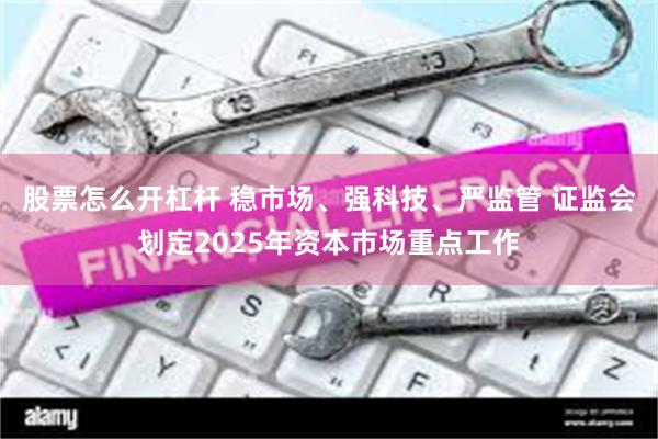 股票怎么开杠杆 稳市场、强科技、严监管 证监会划定2025年资本市场重点工作