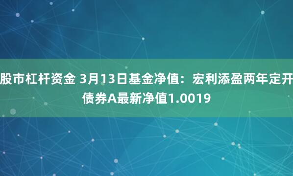 股市杠杆资金 3月13日基金净值：宏利添盈两年定开债券A最新净值1.0019